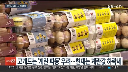 조류인플루엔자에도 계란값 하락세…확산 여부가 관건