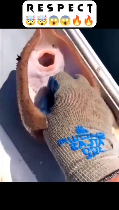 respect  #23 #respect #bodybuilder #subsub #photography #happy #youtube #girls_respect_shayari    #respect   respect shorts respect song respect video respect status respect natok respect girls respect s2h #shorts respect shorts tiktok Respect reels