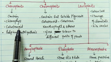 Types of Plastids class