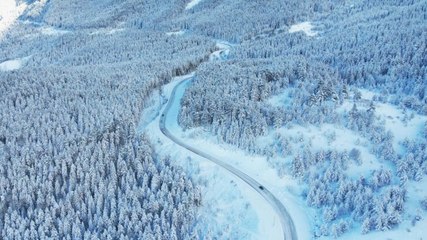 Kastamonu'da ormanlar beyaz örtüyle kaplandı