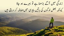 Aqwal e Zareen Channel | Best Urdu Quotes | Golden Words About Life | Urdu Quotes