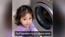Küçük kız kedisini çamaşır makinesinde yıkamak istedi! Anneler babalar dikkat!