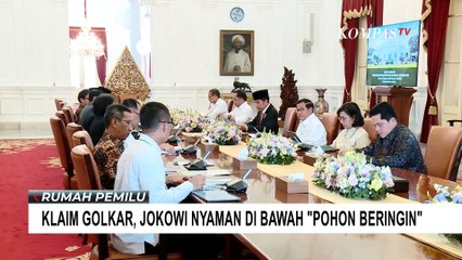 Alasan Golkar Klaim Jokowi Nyaman di Bawah 'Pohon Beringin'
