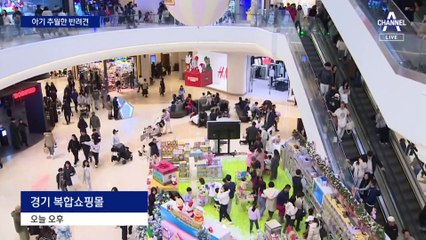 아기 타는 유모차? 반려견이 더 많이 탔다