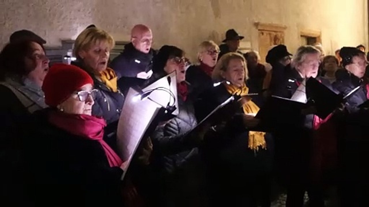 Wandern im Wald – Mit Lucia Nadia Cipriani