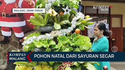 Unik, Pohon Natal Dari Sayur Hidroponik Hasil Budidaya di Gereja