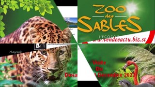 Visite au Zoo des Sables D ' Olonne ( Vendée ) , Dimanche 24 Décembre 2023