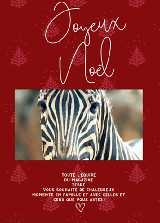 Joyeux_Noël video Dailymotion