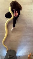 Yılanlarıyla TikTok akımı yaptı! Evi vahşi orman gibi…