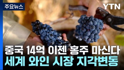 中 14억 이젠 홍주를 마신다...세계 와인 시장 지각변동 / YTN