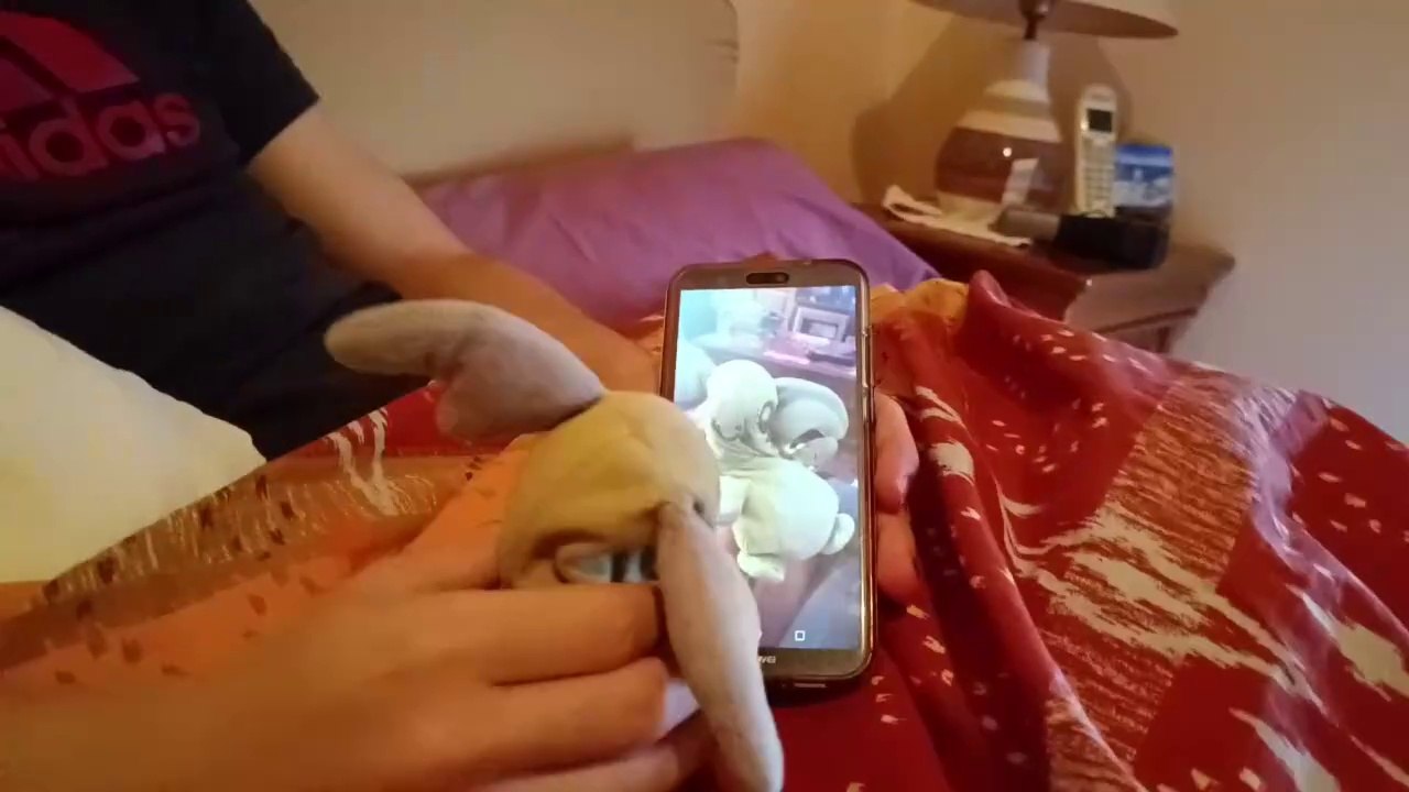 la république démocratique de la dictature 3mat30 3mat30té épisode 2, la Faschisation de raichu