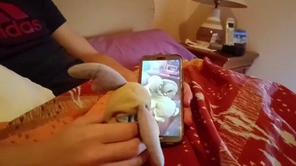 la république démocratique de la dictature 3mat30 3mat30té épisode 2, la Faschisation de raichu