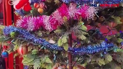 Rayakan Natal, Klenteng Hok Tik Bio Gelar Pertunjukan Barongsai Bagi Anak-Anak