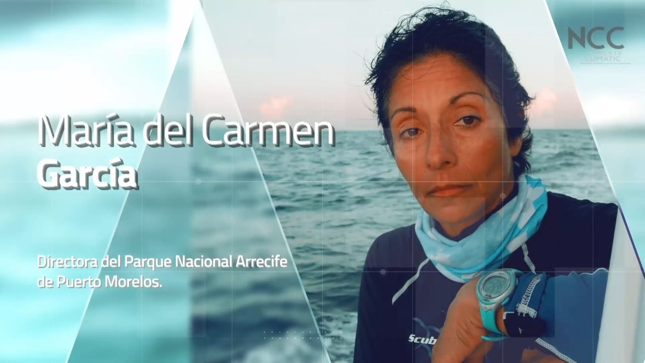 Reporte Climático 125 | Conservación de océanos para salvar el planeta