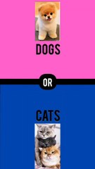 What would you rather?