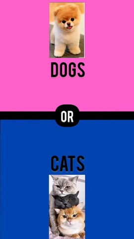 What would you rather?