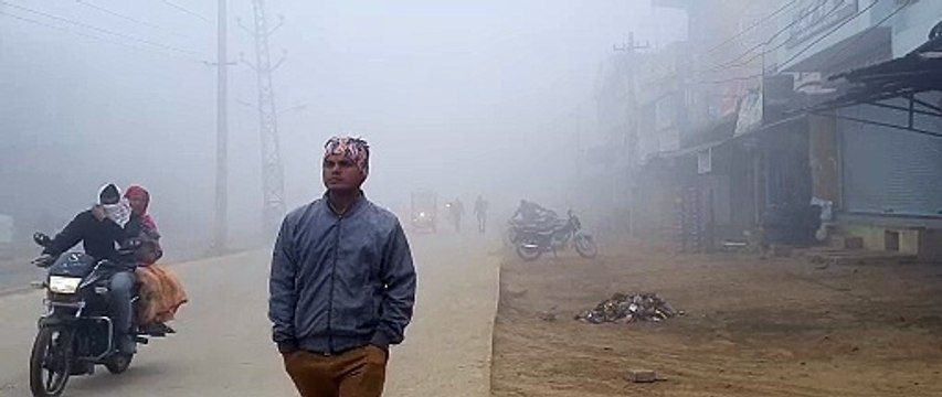 दोपहर तक छाया घना कोहरा,सर्द हवाओं ने कंपकपाया