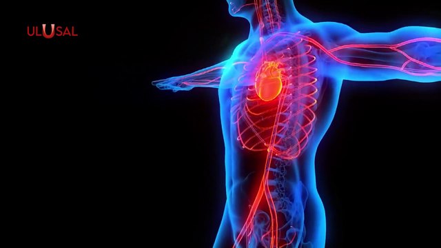 Soğuk Havalarda Kalp Krizi Riski Artıyor