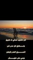 #shorts حمزة نمرة- داري 2-  فيديو كليب