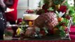 Preview - A Royal Corgi Christmas - Hallmark Channel