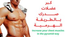 Chest Gains with Only 6 Moves