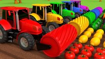 Harvesting Fruits and Vegetables with Tractors Learn Colors for Kids Children