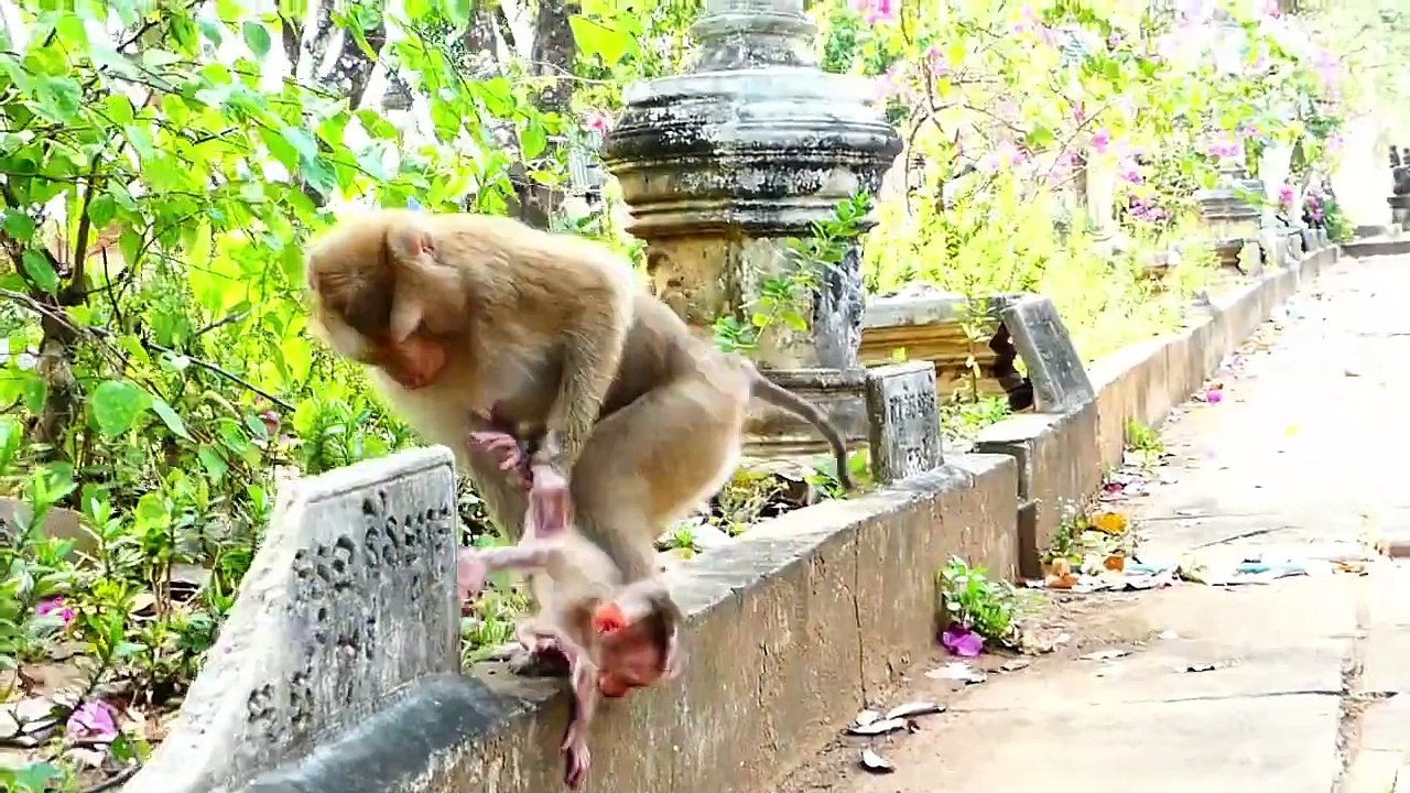 Mother Sarika Always Trains Baby Saro With Super Performance (720p_25fps_H264-192kbit_AAC)