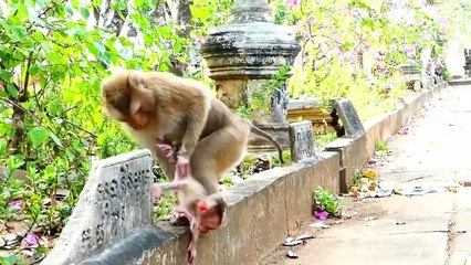 Mother Sarika Always Trains Baby Saro With Super Performance (720p_25fps_H264-192kbit_AAC)