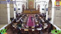 Intervenciones de diputados del G.P. VOX Andalucía durante el debate de PGA 2024