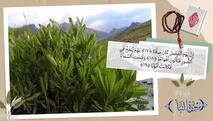 سورة النبأ -  القران الكريم