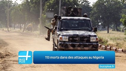 113 morts dans des attaques au Nigeria