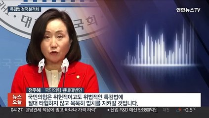 "망신주기 악법"·"여사는 성역이냐"…특검대치 격화