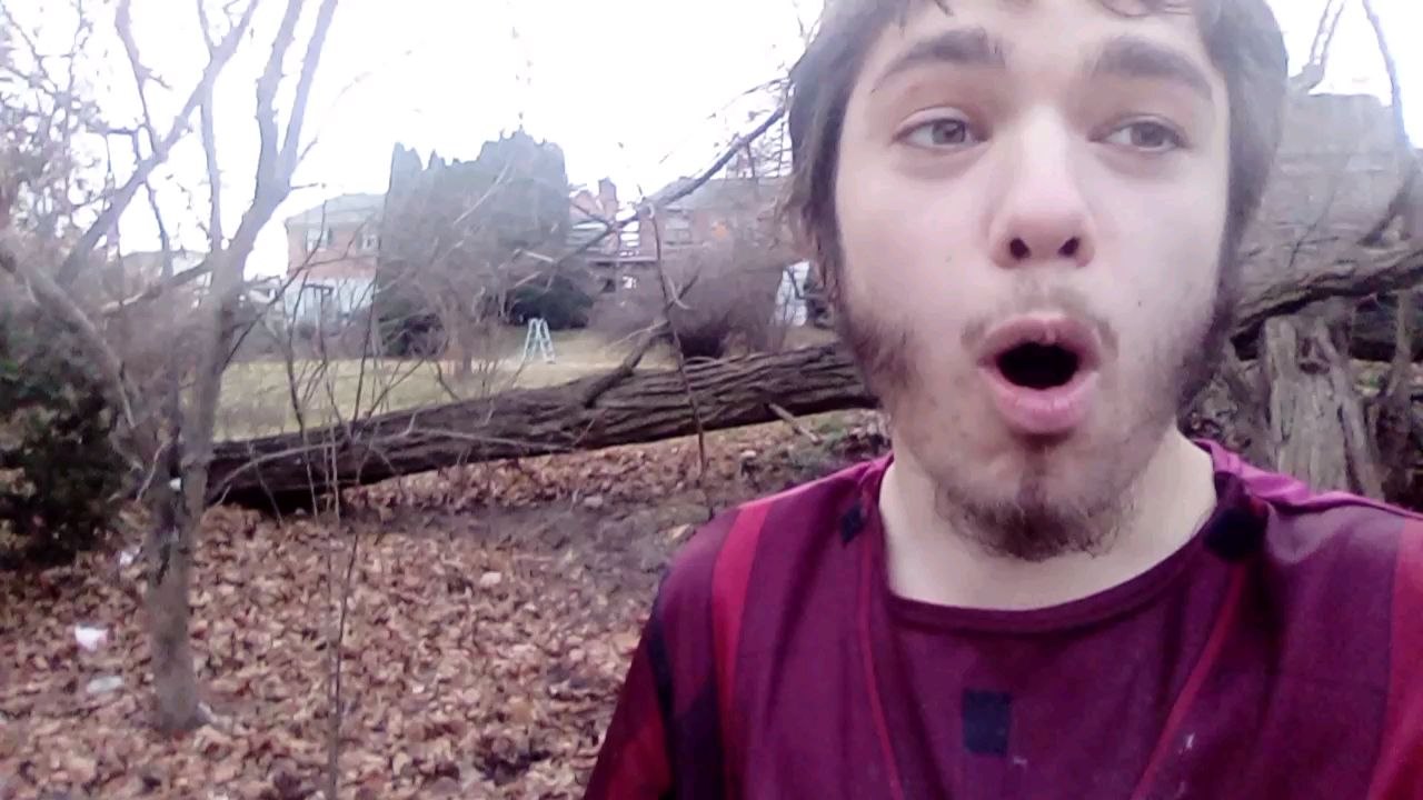 Bitten by a Stone Centipede - video Dailymotion