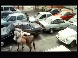 Tapete Vermelho | movie | 2005 | Official Trailer