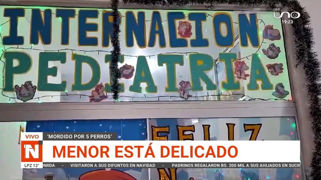 Niño de 9 años fue atacado por cinco perros