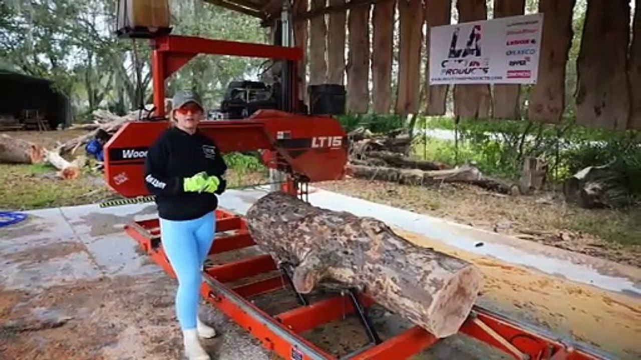 Amazing Our First Sycamore Log Was A Nightmare