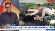 Hombre termina siendo devorado por su oso