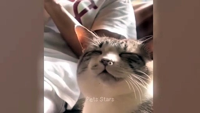 #ytshortsindia morsomt هههههه​​#cutebaby#comdy #comedys #babs#comedyshorts#cuteanimalsytshortsindia#ytshortsindia 有趣哈哈#cutebaby #comdycomedys #ba#comedyshorts #cuteanimals#ytshortsindia#ytshortsindiam ضكههههه#cutdy #comedys #babs#comedyshorts#cuteanimals#