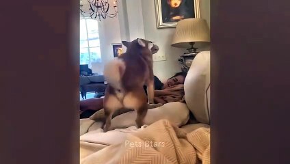 #ytshortsindia morsomt هههههه​​#cutebaby#comdy #comedys #babs#comedyshorts#cuteanimalsytshortsindia#ytshortsindia 有趣哈哈#cutebaby #comdycomedys #ba#comedyshorts #cuteanimals#ytshortsindia#ytshortsindiam ضكههههه#cutdy #comedys #babs#comedyshorts#cuteanimals#