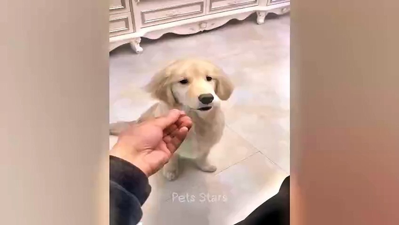 ytshortsindia morsomt haha ​​​​#cutebaby#comdy tyybabs#comedyshorts#cuteanimalsytshortsindia#ytshortsindia 有趣哈哈#cutebaby #comdycomedys #ba#comedyshorts #cuteanimals#ytshortsindia#ytshortsindiaمضكههههه#cutdy #comedys #babs#comedyshorts#cuteanimals#y