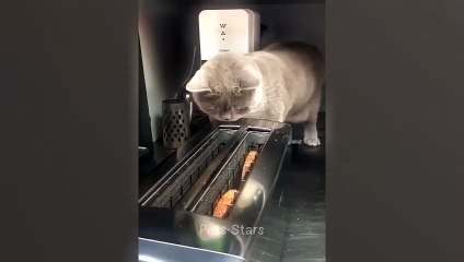 ytshortsindia morsomt haha ​​​​#cutebaby#comdy #comedys #babs#comedyshorts#cuteanimalsytshortsindia#ytshortsindia 有趣哈哈#cutebaby #comdycomedys #ba#comedyshorts #cuteanimals#ytshortsindia#ytshortsindiaمضكههههه#cutdy #comedys #babs#comedyshorts#cuteanimals#y