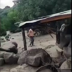 Policía rescató a un perrito que quedó atrapado tras la crecida en El Rincón