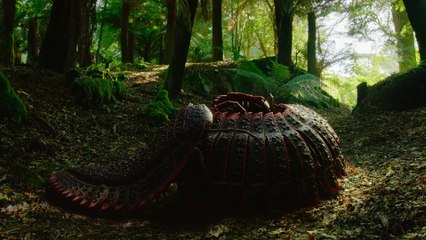 Life On Our Planet S01e03 Invaders of the Land