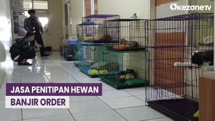 Jasa Penitipan Hewan Peliharaan Banjir Order saat Libur Nataru