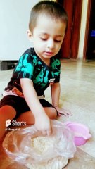 Chicks#trending #viral #youtubeshorts #chicks #baby #babyboy #kids