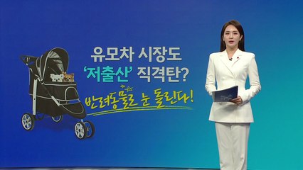 "아기 말고 개 태워요"...유모차 대신 '개모차' 더 팔렸다 [앵커리포트] / YTN