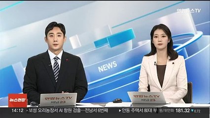 교황, 성탄 메시지서 "대화로 한반도 긴장 해소되길"