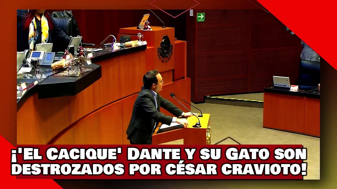 ¡VEAN! ¡’el Cacique’ Dante Delgado y su Gato son despedazados por César Cravioto por atacar a AMLO!