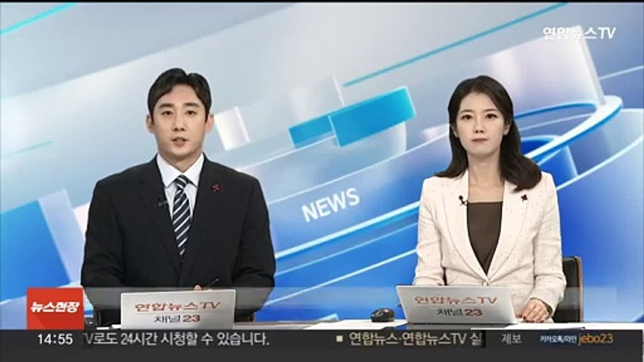 경복궁 담장 낙서 제거 재개…내년 1월 4일 완전 공개