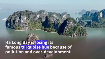 Pollution threatens turquoise hue of Vietnam's Ha Long Bay
